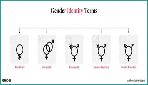 Understanding Gender Identity: The Case Of Brittney Griner's Biological Sex
